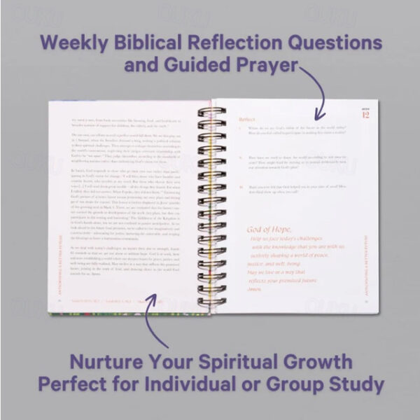 A Beautiful Year in The Bible Upgrade Spiral-Bound Women Bible Study Guide, The 52-Week Bible Study for Women Bible Study Guide Women Year in The Bibl